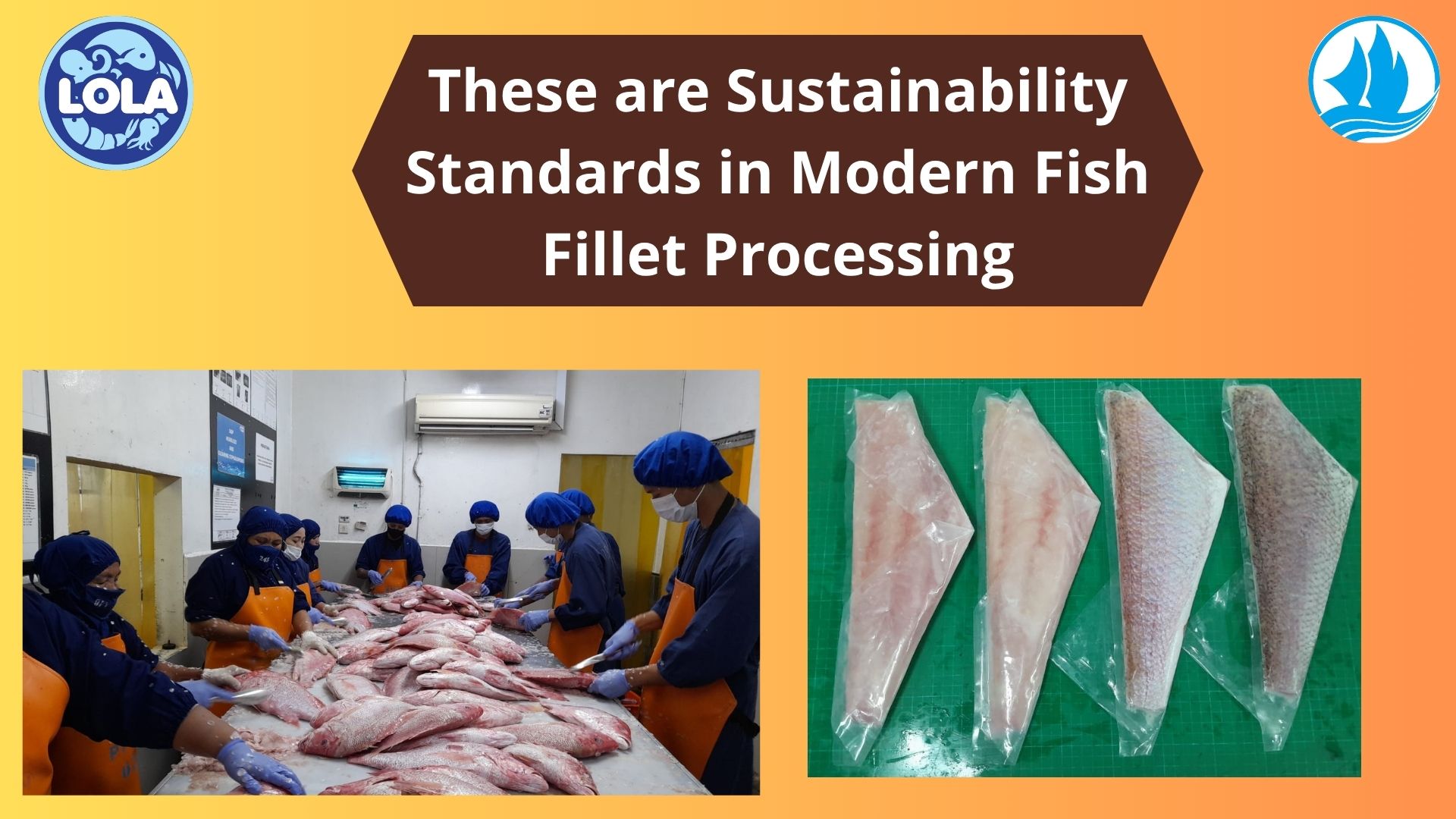  These are Sustainability Standards in Modern Fish Fillet Processing